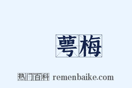 緑萼梅是什么意思的图片